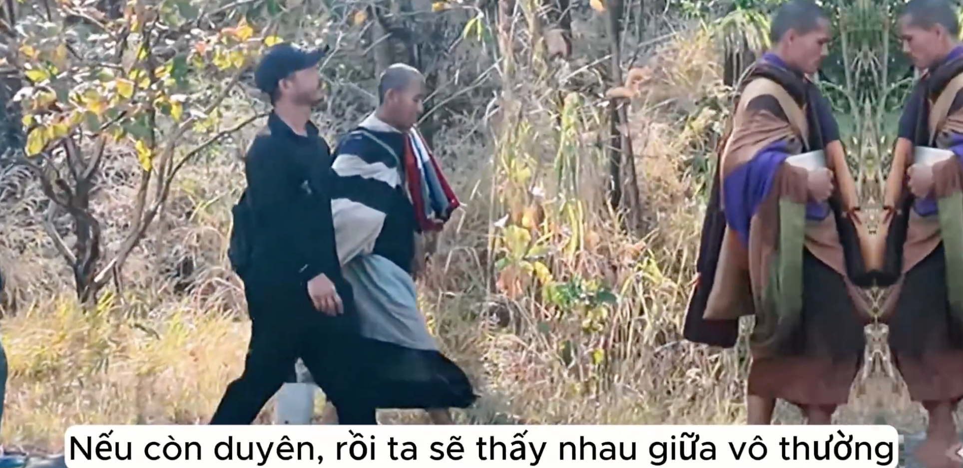 Lời bài hát: Duyên Chưa Nở Hoa (zenmedia8888)