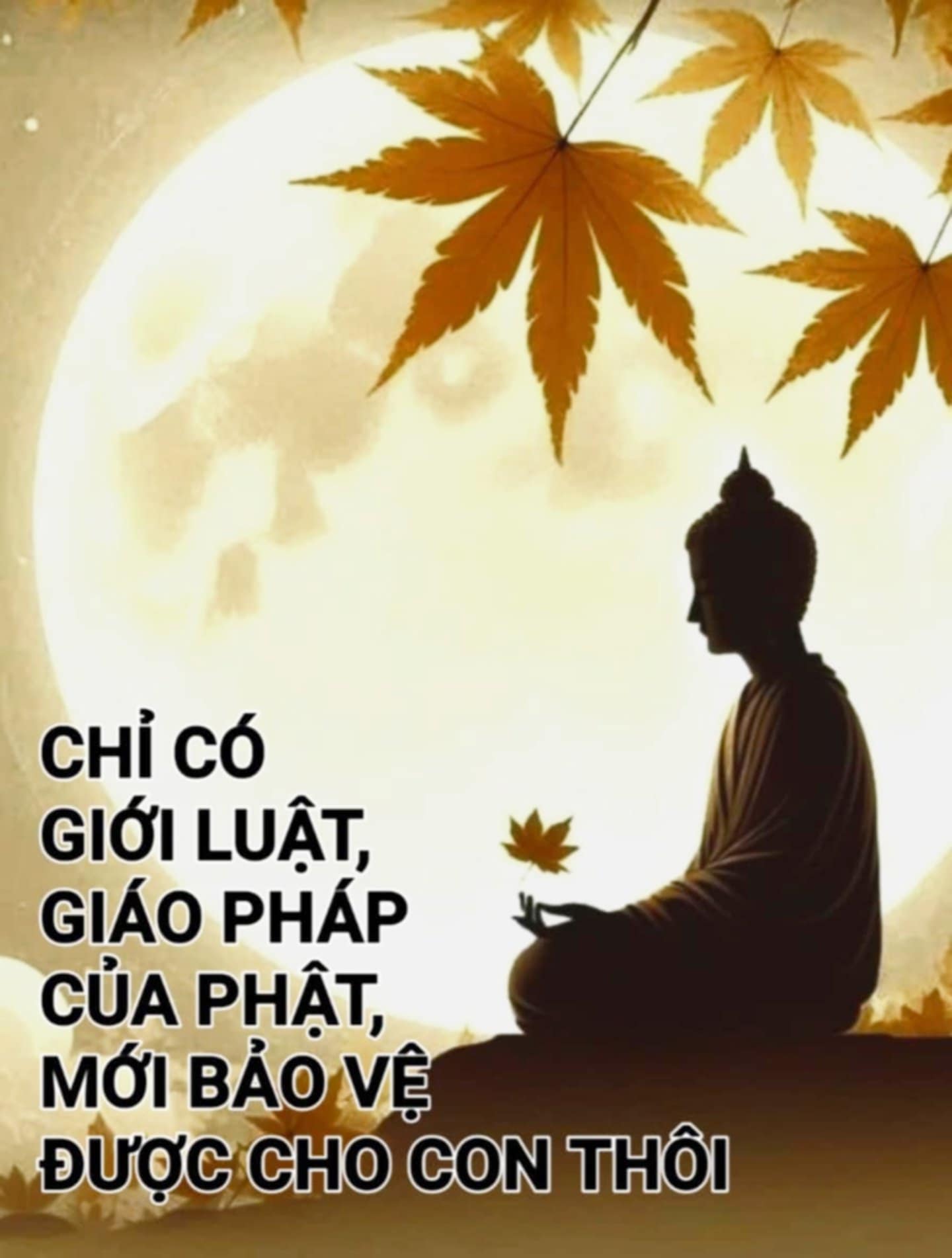 CHỈ CÓ GIỚI LUẬT, GIÁO PHÁP CỦA PHẬT, MỚI BẢO VỆ ĐƯỢC CHO CON THÔI