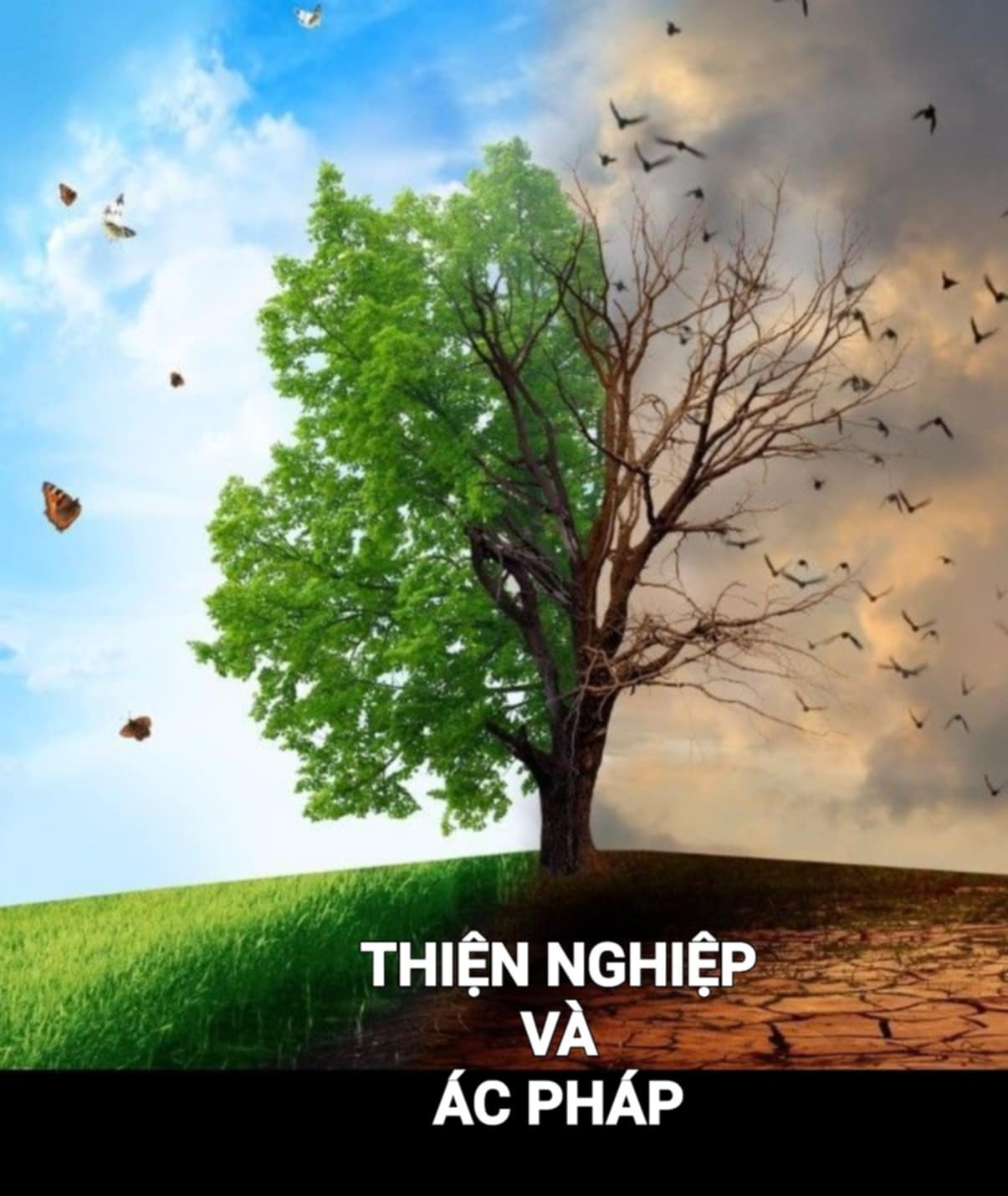 THIỆN NGHIỆP CÀNG TĂNG, ÁC PHÁP CÀNG BỊ ĐẨY LÙI